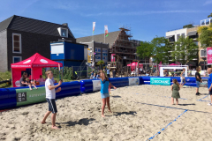 Badminton-Festival-2019ad