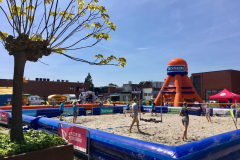 Badminton-Festival-2019y